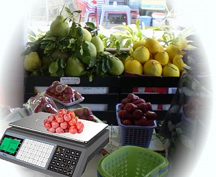 Cân điện tử tính tiền tốt nhất cho cửa hàng hoa quả