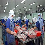 Ứng dụng công nghệ RFID vào ngành sản xuất thủy hải sản Việt Nam,ung dung cong nghe rfid vao nganh san xuat thuy hai san viet nam