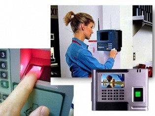 Model máy chấm công giá rẻ năm 2020